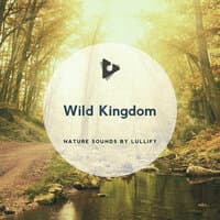 Wild Kingdom