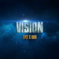 Vision