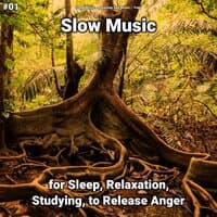 #01 Slow Music for Sleep, Relaxation, Studying, to Release Anger