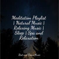 Meditation Playlist | Natural Music | Relaxing Music | Sleep | Spa and Relaxation