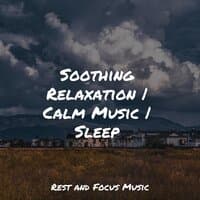 Soothing Relaxation | Calm Music | Sleep