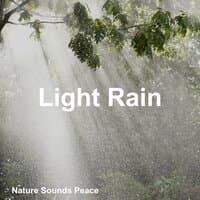 Light Rain