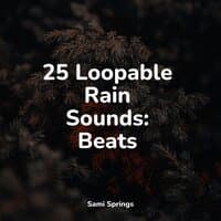 25 Loopable Rain Sounds: Beats