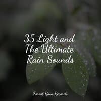 35 Light and The Ultimate Rain Sounds