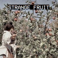 STRANGE FRUIT