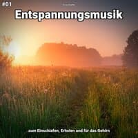 #01 Entspannungsmusik zum Einschlafen, Erholen und für das Gehirn