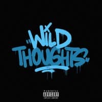 WILD THOUGHTS