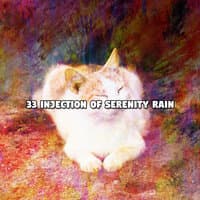 33 Injection Of Serenity Rain