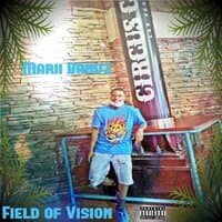 Field of Vision