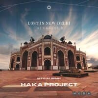 Lost In New Delhi