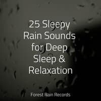 25 Sleepy Rain Sounds for Deep Sleep & Relaxation