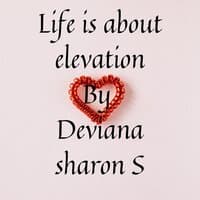 Life Is About Elevation