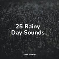 25 Rainy Day Sounds