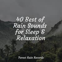 40 Best of Rain Sounds for Sleep & Relaxation