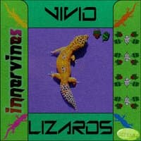 Vivid Lizards