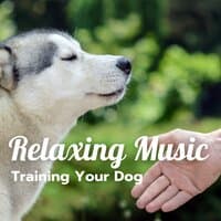 Relaxing Music for Training Your Dog