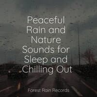 Peaceful Rain and Nature Sounds for Sleep and Chilling Out