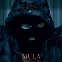 Mula