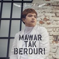 Mawar Tak Berduri