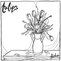 Tulips - Live Acoustic