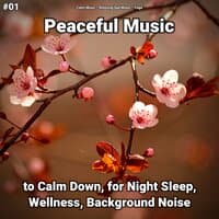 #01 Peaceful Music to Calm Down, for Night Sleep, Wellness, Background Noise