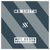 Mr Smith