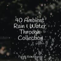 40 Ambient Rain & Water Through Collection