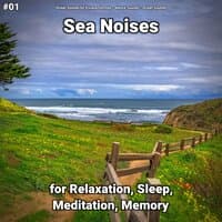 #01 Sea Noises for Relaxation, Sleep, Meditation, Memory