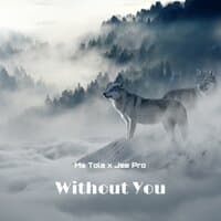 Without You