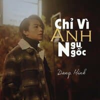 Chỉ Vì Anh Ngu Ngốc