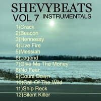 shevybeats, Vol. 7