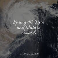 Spring 40 Rain and Nature Sounds