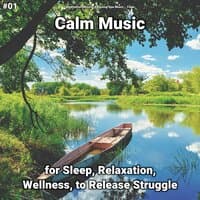 #01 Calm Music for Sleep, Relaxation, Wellness, to Release Struggle