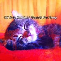 56 Truly Ambient Sounds For Sleep