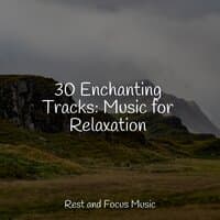 30 Enchanting Tracks: Music for Relaxation