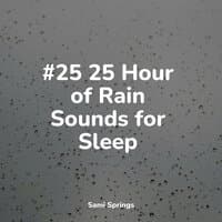 #25 25 Hour of Rain Sounds for Sleep