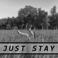 Just Stay