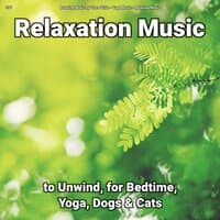 #01 Relaxation Music to Unwind, for Bedtime, Yoga, Dogs & Cats