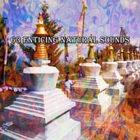 63 Enticing Natural Sounds