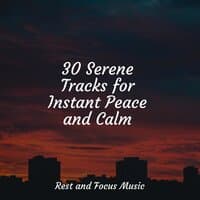 30 Serene Tracks for Instant Peace and Calm