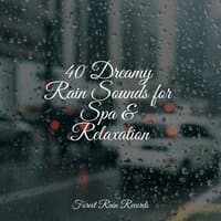 40 Dreamy Rain Sounds for Spa & Relaxation