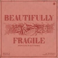 Beautifully Fragile