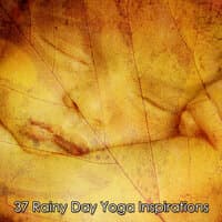 37 Rainy Day Yoga Inspirations