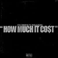 How Much It Cost