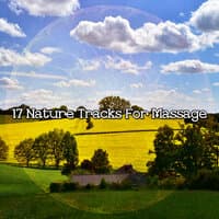 17 Nature Tracks For Massage