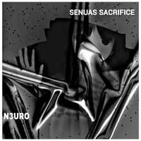 Senuas Sacrifice