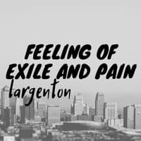 Feeling of Exile and Pain