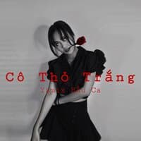 Cô Thỏ Trắng