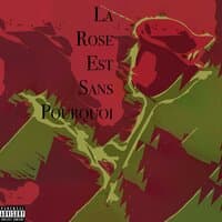 La Rose Est Sans Pourquoi