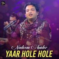 Yaar Hole Hole - Single